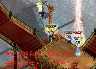 ��������˽������δ����ֿ��ٳɳ�Ϊһ��������