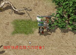 ��ο���ʵ�ֵ����н�