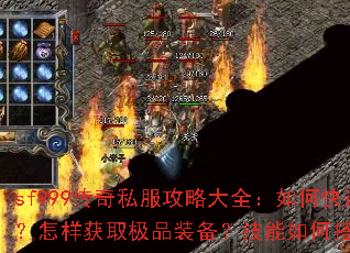 sf999����˽�����Դ�ȫ����ο���������������ȡ��Ʒװ����������δ�����ǿ��