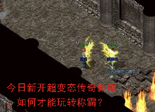 �����¿�����̬�����·�����β�����ת�ưԣ�