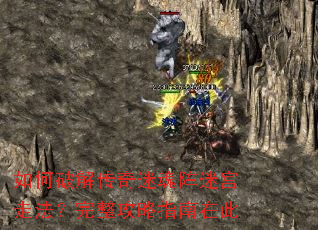 ����ƽ⴫���Ի����Թ��߷�����������ָ���ڴ�