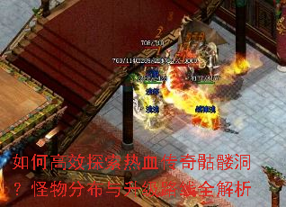 ��θ�Ч̽����Ѫ�������ö�������ֲ�������·��ȫ����