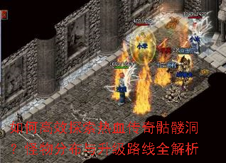 ��θ�Ч̽����Ѫ�������ö�������ֲ�������·��ȫ����