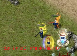 ��Ѫ��������ż������ȡ���ԣ�