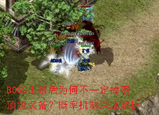 BOSS��ɱ��Ϊ�β�һ�����䶥��װ�������ʻ�����Ƚ���