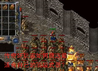 ����SF��������ѡ���ʺ��Լ��Ķ���������