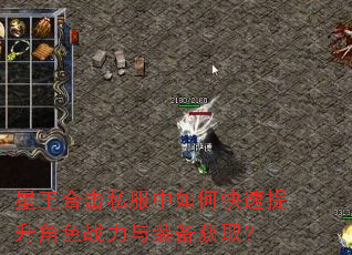 星王合击私服中如何快速提升角色战力与装备获取? 星王合击私服中如何快速提升角色战力与装备获取?