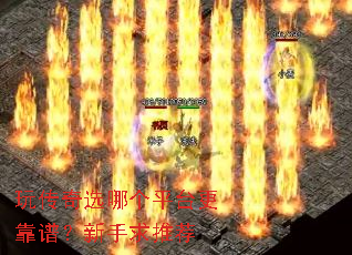 �洫��ѡ�ĸ�ƽ̨�����ף��������Ƽ�