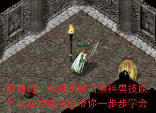 ��ͨ��ʿ��������ٻ����޼��ܣ���������ָ�ϴ���һ����ѧ��
