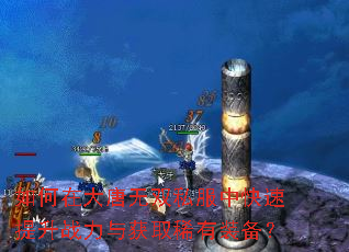 ����ڴ�����˫˽���п�������ս�����ȡϡ��װ����