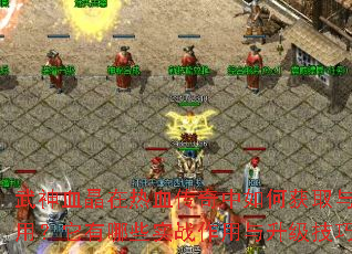 武神血晶在热血传奇中如何获取与使用?它有哪些实战作用与升级技巧? 武神血晶在热血传奇中如何获取与使用?它有哪些实战作用与升级技巧?