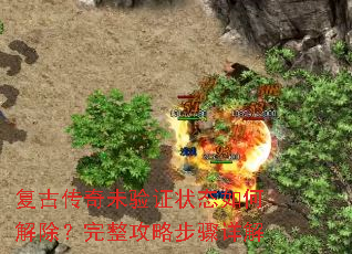 复古传奇未验证状态如何解除?完整攻略步骤详解 复古传奇未验证状态如何解除?完整攻略步骤详解