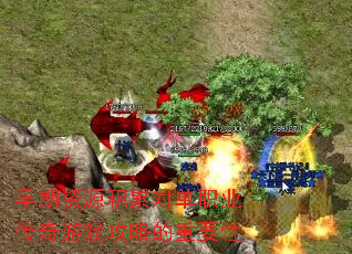 ������Դ���۶Ե�ְҵ������Ϸ���Ե���Ҫ��