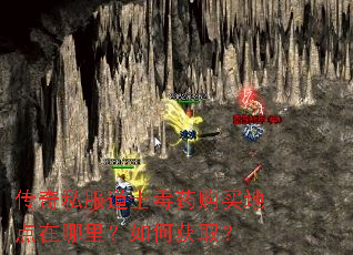 传奇私服道士毒药购买地点在哪里?如何获取? 传奇私服道士毒药购买地点在哪里?如何获取?