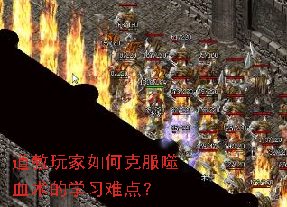 ���������ο˷���Ѫ����ѧϰ�ѵ㣿