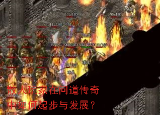 ɢ��������ʵ�������������뷢չ��