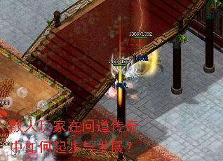 ɢ��������ʵ�������������뷢չ��
