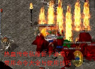 ��Ѫ����˽�����ֱؿ������������ȫ��ʹ�ü���