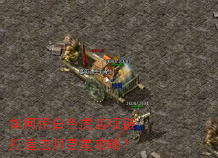 ����ð�ɫ�����������취ʦ���ǹ��ԣ�