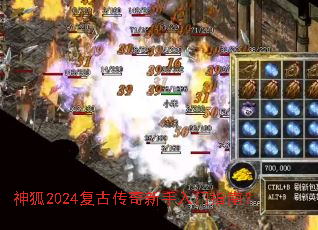���2024���Ŵ�����������ָ�ϣ�