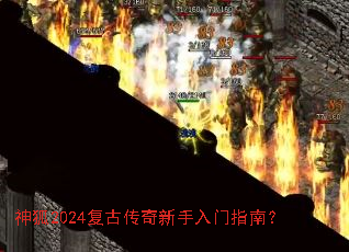 ���2024���Ŵ�����������ָ�ϣ�