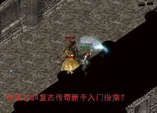 ���2024���Ŵ�����������ָ�ϣ�