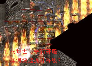 1.76���Ŵ����¿�������ο��������ȼ���