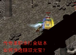 ���浥ְҵ���汾��ο���׬ȡԪ����