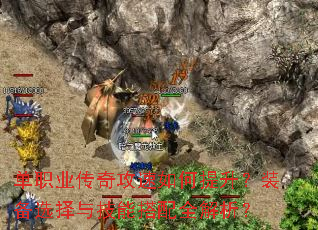 ��ְҵ���湥�����������װ��ѡ���뼼�ܴ���ȫ������