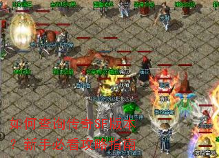 ��β�ѯ����SF�汾�����ֱؿ�����ָ��