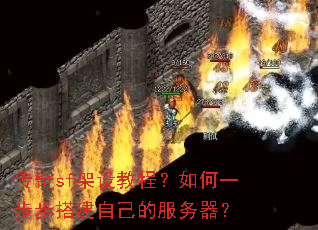 ����sf����̳̣����һ������Լ��ķ�������
