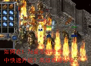�����1.76��Ұ洫���п�����������Ч���Է���
