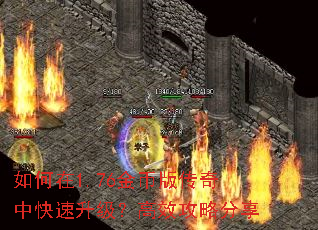 �����1.76��Ұ洫���п�����������Ч���Է���