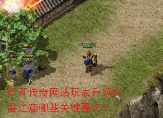 �¿�������վ�������ʱ��ע����Щ�ؼ�Ҫ�㣿