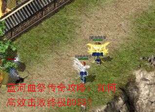 ����Ѫ�����湥�ԣ���θ�Ч�����ռ�BOSS��