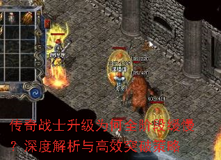 ����սʿ����Ϊ��ȫ�׶λ�������Ƚ������Чͻ�Ʋ���
