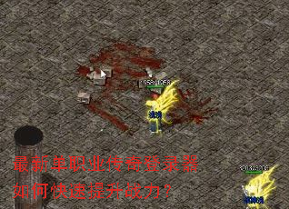 ���µ�ְҵ�����¼����ο�������ս����