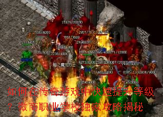 ����ڴ�����Ϸ�п��������ȼ���΢��ְҵѧУ���ҹ��Խ���