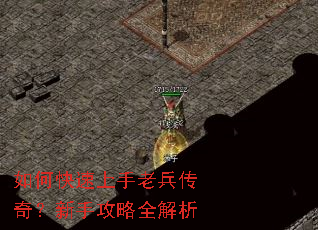 如何快速上手老兵传奇?新手攻略全解析 如何快速上手老兵传奇?新手攻略全解析