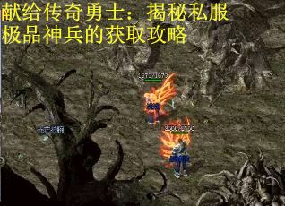 献给传奇勇士：揭秘私服极品神兵的获取攻略