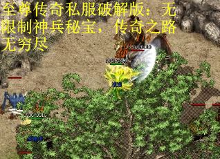 至尊传奇私服破解版：无限制神兵秘宝，传奇之路无穷尽